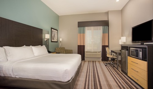 Standard Room, 1 King Bed, Accessible (Mobility, Accessible Tub)