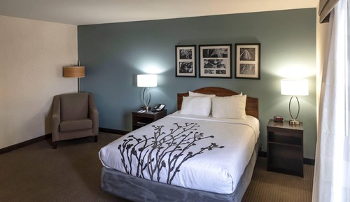 Suite, 1 King Bed with Sofa bed, Accessible, Non Smoking