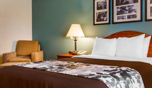 Room, 1 Queen Bed, Accessible, Non Smoking