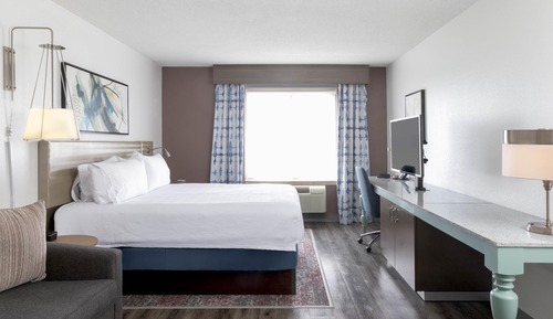 Suite, 1 King Bed with Sofa bed