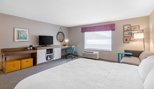 Room, 1 King Bed, Accessible (Roll-In Shower)