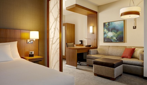 Room, 1 King Bed with Sofa bed