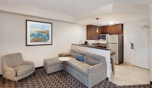 Studio, 1 King Bed with Sofa bed, Balcony (Hearing Accessible)