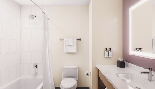 Standard Room, 1 King Bed (Bath Shower Combination)