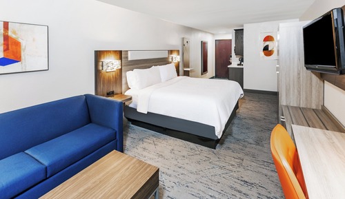Suite, 1 King Bed with Sofa bed