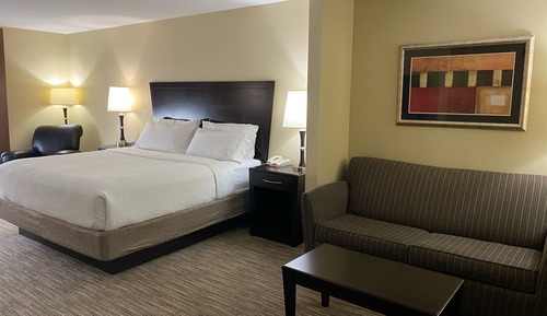 Suite, 1 King Bed with Sofa bed, Microwave