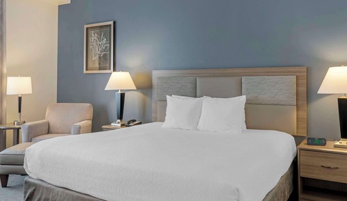 Standard Room, 1 King Bed, Non Smoking, Refrigerator