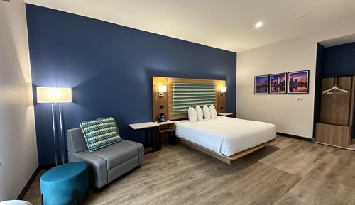 Standard Room, 1 King Bed, Non Smoking, Refrigerator & Microwave (Pet Friendly)