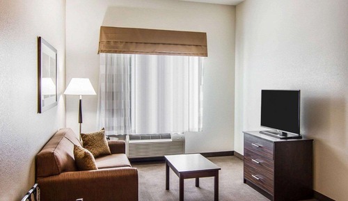 Suite, 1 King Bed, Accessible, Non Smoking (Efficiency)
