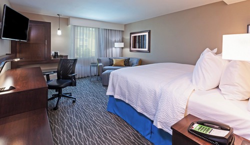 Room, 1 King Bed with Sofa bed