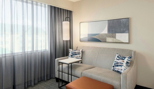 Room, 1 King Bed with Sofa bed (Hearing Accessible)
