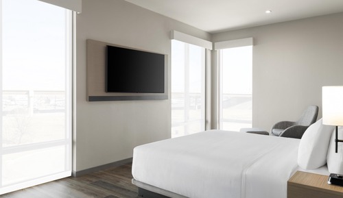 Room, 1 King Bed with Sofa bed, Accessible Bathtub