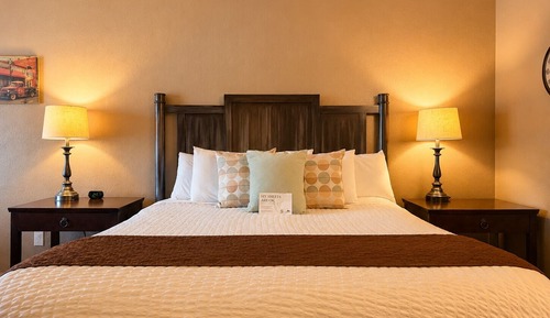 Standard Room, 1 King Bed, Pets Not Allowed