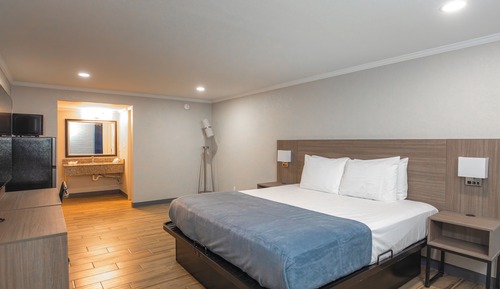 Single Room, 1 King Bed