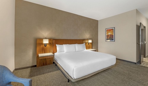 Room, 1 King Bed, Accessible (Roll-in Shower)