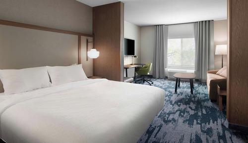 Room, 1 King Bed with Sofa bed