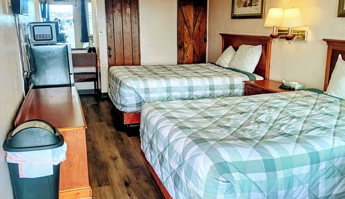 Basic Double Room