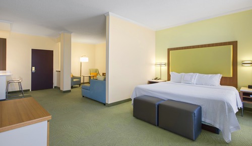 Suite, 1 King Bed (Mobility/Hearing Access, Roll-in Shwr)