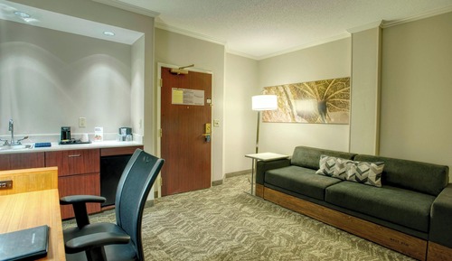 Suite, 1 King Bed