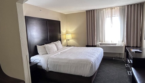 Suite, 1 King Bed with Sofa bed, Accessible, Non Smoking (Roll-In Shower)