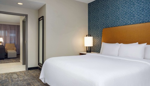 Premium Suite, 1 King Bed (Shower)