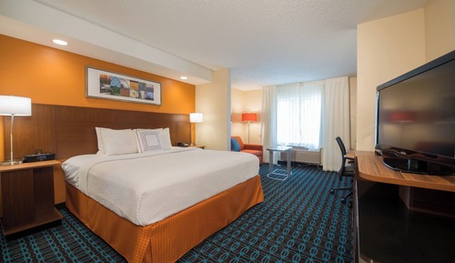 Suite, 1 King Bed with Sofa bed