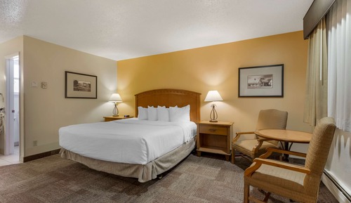 Standard Room, 1 King Bed, Accessible, Non Smoking