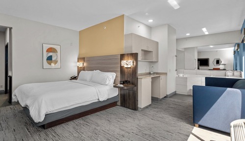 Suite, 1 King Bed (Additional Living Area)
