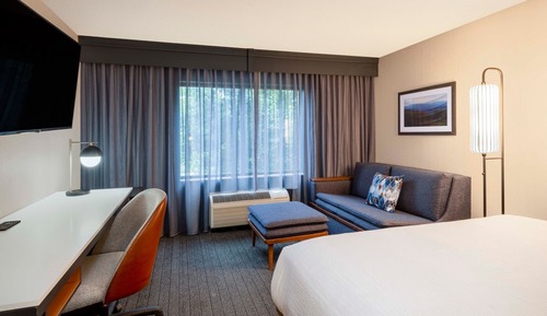 Room, 1 King Bed with Sofa bed (Mobility/Hearing Access, Roll-In Shwr)