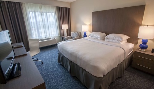 Room, 1 King Bed