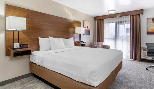 Standard Room, 1 King Bed, Non Smoking, Refrigerator & Microwave