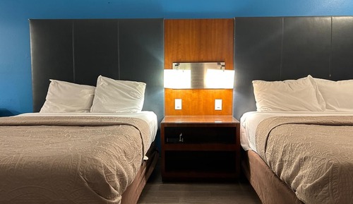 Basic Single Room, 1 Twin Bed