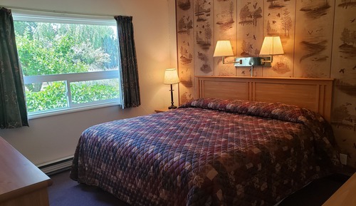 Room, 1 King Bed