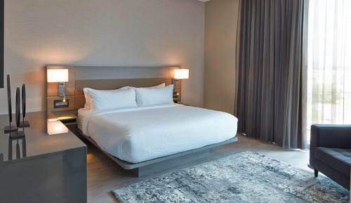 Suite, 1 King Bed with Sofa bed, Accessible Bathtub