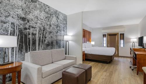 King Suite with Sofa Bed - Non-Smoking/Pet Friendly