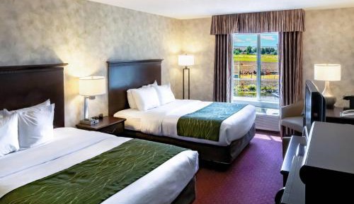 Queen Room with Two Queen Beds - Non-Smoking