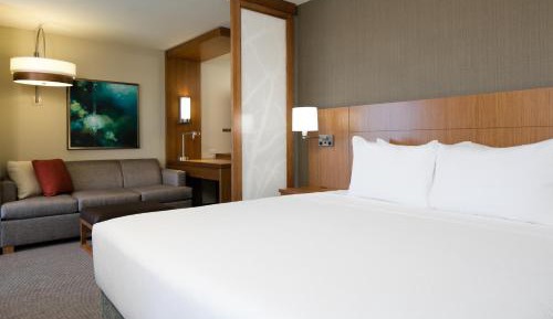 Specialty King Room with Sofa Bed