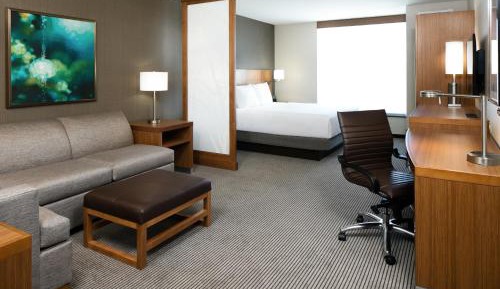 King Room with Sofa Bed and Accessible Tub - Disability Access