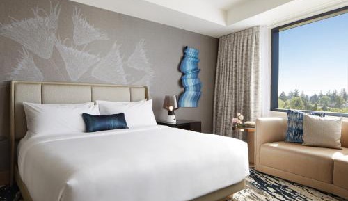 Premium King Room
