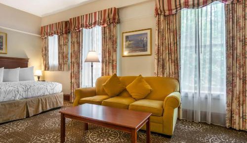 Larger King Room with Sofa Bed - Non-Smoking