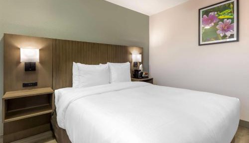 Queen Room with Roll-In Shower - Disability Access/Non-Smoking