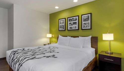 King Room - Accessible/Non-Smoking