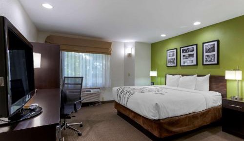King Room - Non-Smoking