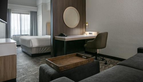 King Suite with Trundle Sofa