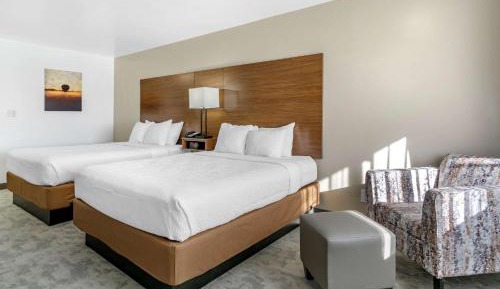 Queen Room with Two Queen Beds and Patio - Poolside