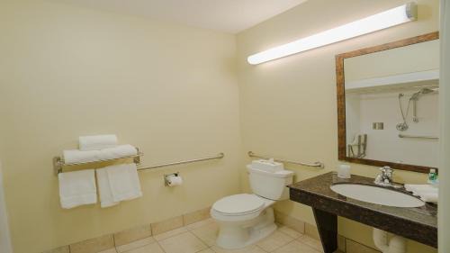 Standard King Room with Roll-in Shower - Mobility Accessible