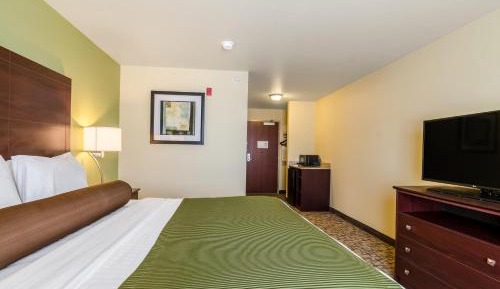 King Room - Disability Access