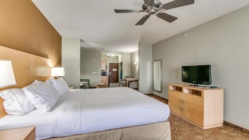 Standard King Room with Sofa Bed